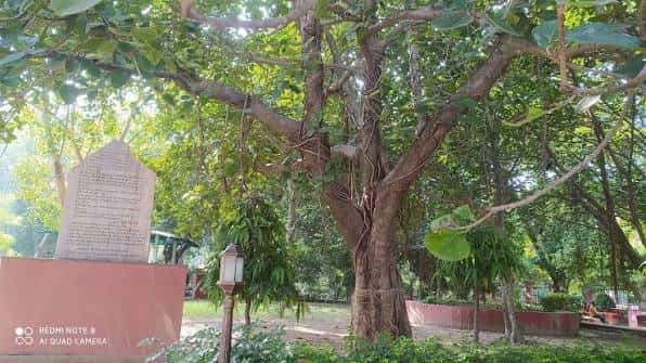 Company Bagh Chauraha Kanpur: Location, Directions, Nearby Areas